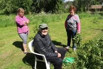 Alkukesästä opeteltiin vihdan tekoa oikeaoppisesti. Vihtamestari Helge Sainion käsistä päivän mittaan moni saunoja sai tuoksuvan vihdan lauteilleen.