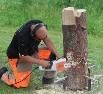 Alussa on pölkky. Mutta mitä se pölkky pitää sisällään. Taitava mies ja moottorisaha.