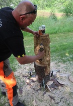 Sieltä on kuoriutumassa näyttävä lintu. 